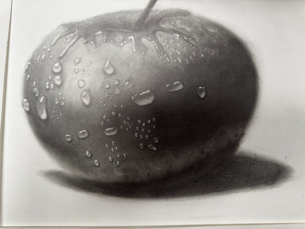 Apple Drawing 1